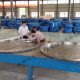 6月27日西班牙客户委托上海公司到我司进行产品检验
